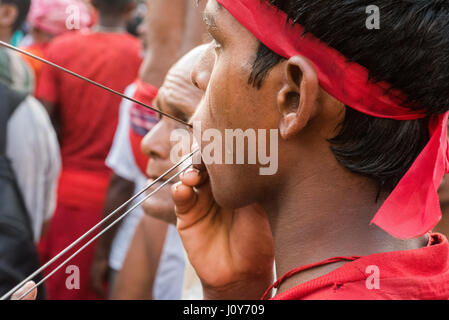 Indischen Jüngling mit Spießen über seine Wangen beim Gajan und Charak-Festival in Krishnadepur, West-Bengalen Stockfoto