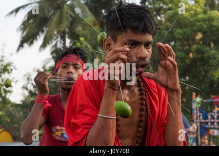 Indischen Jüngling mit Spießen über seine Wangen beim Gajan und Charak-Festival in Krishnadepur, West-Bengalen Stockfoto