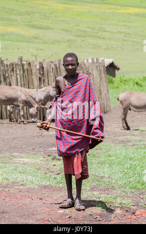 Junger moderner Maasai-Mann, der im Ngorongoro Conservation Area steht Dorf auf dem Weg zum Ngorongoro Krater - ein Naturschutzgebiet und Weltkulturerbe Standort Stockfoto