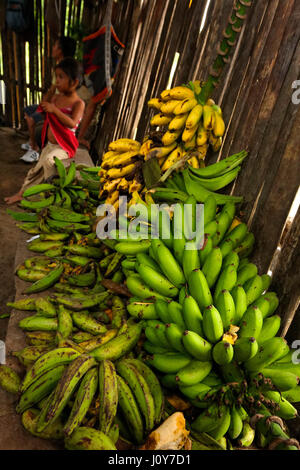 Stapel von Bananen in der Shuar Dorf, ecuadorianischen Amazonas Stockfoto