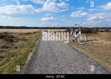 Fahrrad in der Hoge Veluwe National Park, Niederlande Stockfoto