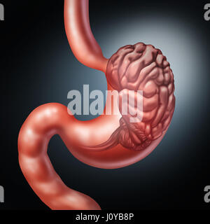 Bauch-Gehirn und enterischen Nervensystem Symbol oder Darm-Gefühl-Konzept als menschliche Verdauung und denken Orgel. Stockfoto