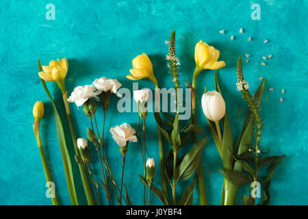 Frühling Blumen auf das Cyan Hintergrund Draufsicht Stockfoto