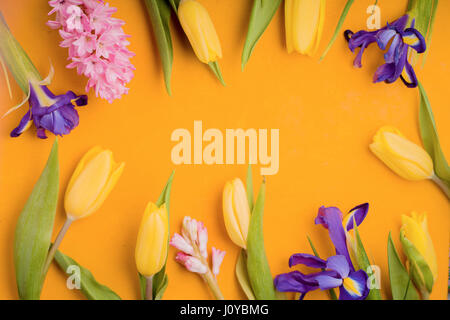 Rahmen der Blumen auf gelbem Hintergrund Stockfoto