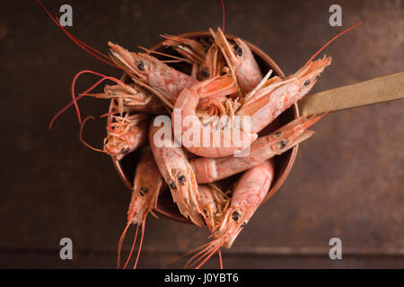 Große Garnelen in einem Topf auf einen metallischen Hintergrund Stockfoto