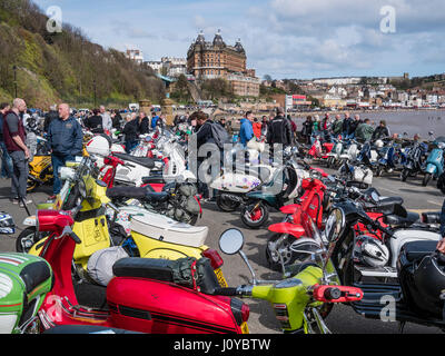 Easter National Scooter Rally 2017 im Spa Scarborough Yorkshire UK Stockfoto