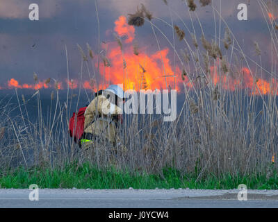 Die Feuerwehrmann löscht Feuer im Feld Stockfoto
