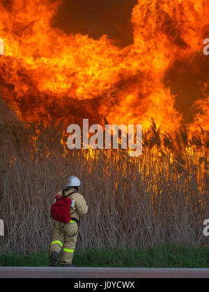 Der tapfere Feuerwehrmann löscht ein riesiges Feuer Stockfoto