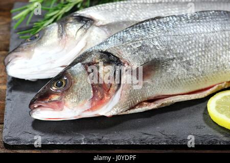 Europäischen Seabasses bereit, Kochen Stockfoto