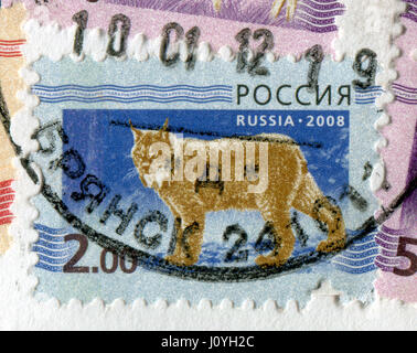 GOMEL, WEIßRUSSLAND, 15. APRIL 2017. Briefmarke gedruckt in Russland zeigt Bild des Luchses ist eines der vier Arten innerhalb der Gattung Lynx von mittleres wild Stockfoto