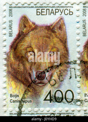 GOMEL, WEIßRUSSLAND, 15. APRIL 2017. Gedruckt in Belarus Stempel zeigt Bild der graue Wolf oder graue Wolf (Canis Lupus), auch bekannt als die Timberwolf oder wir Stockfoto