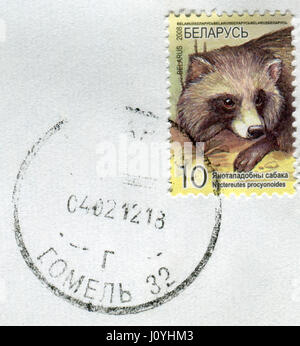 GOMEL, WEIßRUSSLAND, 15. APRIL 2017. Briefmarke gedruckt in Belarus zeigt Bild von The Nuctereutes Procyonoides circa 2008. Stockfoto