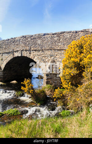 Zeitigen Frühjahr Szene der Straßenbrücke über den Osten Dart River in Postbridge, Dartmoor, UK. Stockfoto