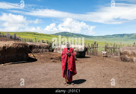 Senior-Maasai elder posiert für eine Momentaufnahme. Stockfoto