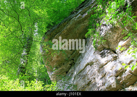 Mullerthal Trail, Schiessentumpel Wasserfall, Luxemburg Stockfoto