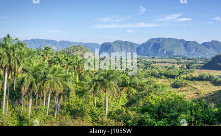 Panorama von Vinales Tal, Kuba Stockfoto