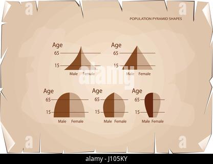 Bevölkerung und Demografie, Illustration-Set von 5 Arten der Bevölkerung Pyramiden Diagramm oder Altersstruktur Graph auf alt Antik Vintage Grunge Papierstruktur Stock Vektor