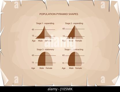 Bevölkerung und Demografie, Illustration-Satz von 4 Arten von Bevölkerung Pyramiden Diagramm oder Altersstruktur Graph auf alt Antik Vintage Grunge Papierstruktur Stock Vektor