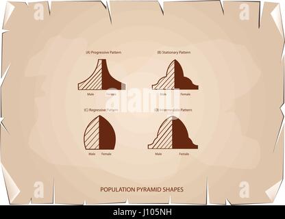 Bevölkerung und Demografie, Illustration-Satz von 4 Arten von Bevölkerung Pyramiden Diagramm oder Altersstruktur Graph auf alt Antik Vintage Grunge Papierstruktur Stock Vektor