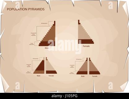 Bevölkerung und Demografie, Illustration der Detaillierungsgrad der Bevölkerung Pyramiden Diagramm oder Altersstruktur Graph auf alten antiken Vintage Grunge Papier Textur zurück Stock Vektor