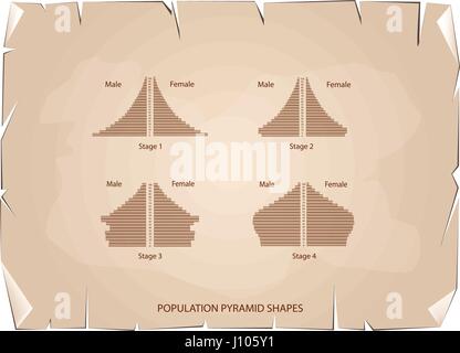Bevölkerung und Demografie, Illustration-Satz von 4 Arten von Bevölkerung Pyramiden Diagramm oder Altersstruktur Graph auf alt Antik Vintage Grunge Papierstruktur Stock Vektor