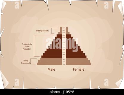 Bevölkerung und Demografie, Illustration der Detaillierungsgrad der Bevölkerung Pyramiden Diagramm oder Altersstruktur Graph auf alten antiken Vintage Grunge Papier Textur zurück Stock Vektor