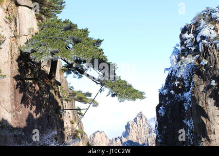 Huangshan, Huangshan, China. 14. April 2017. Huangshan, CHINA-April 14 2017: (nur zur redaktionellen Verwendung. CHINA HERAUS). Huangshan ist ein Gebirgszug im Süden der Provinz Anhui im Osten Chinas. Die Gegend ist bekannt für seine Landschaften, Sonnenuntergänge, eigentümlich geformten Granitfelsen, Huangshan Kiefern, heißen Quellen, Winterschnee und Blick auf die Wolken von oben. Huangshan ist ein häufiges Thema der traditionellen chinesischen Malerei und Literatur, sowie moderne Fotografie. Es ist ein UNESCO-Weltkulturerbe und eines der Hauptreiseziele Chinas. Bildnachweis: SIPA Asien/ZUMA Draht/Alamy Live-Nachrichten Stockfoto