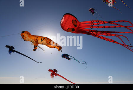 Adelaide, Australien. 17. April 2017. Eine bunte Anzeige von Meerestieren und Tier geformt Drachen füllen den Himmel beim Internaitonal Adelaide Kite Festival am Semaphore Beach in Adelaide Credit: Amer Ghazzal/Alamy Live-Nachrichten Stockfoto