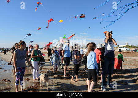 Adelaide, Australien. 17. April 2017. Menschenmassen beobachten eine bunte Anzeige von Meerestieren und Tier geformt Drachen beim Internaitonal Adelaide Kite Festival am Semaphore Beach in Adelaide Credit: Amer Ghazzal/Alamy Live-Nachrichten Stockfoto