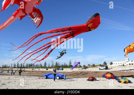 Adelaide, Australien. 17. April 2017. Ein Riesenkrake Drachen fliegt beim Internaitonal Adelaide Kite Festival am Semaphore Beach in Adelaide Credit: Amer Ghazzal/Alamy Live-Nachrichten Stockfoto