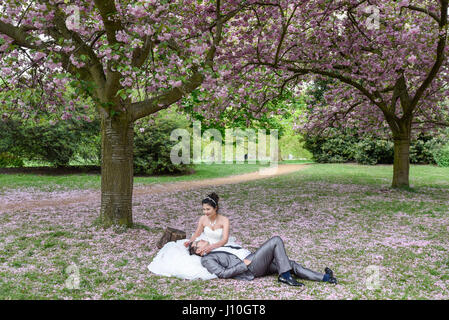 London, UK.  17. April 2017.  UK-Wetter: Ein chinesisches Ehepaar haben vor der Hochzeit Fotos wie Touristen genießen die Kirschblüten blühen in Kensington Gardens.  Bildnachweis: Stephen Chung / Alamy Live News Stockfoto