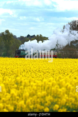 Dampfzug. Peterborough, UK. 17. April 2017. Eine britische Eisenbahnen Bulleid "Battle of Britain" pacific Lokomotive, Nr. 34081 "92 Geschwader" Klasse, bahnt sich ihren Weg vorbei an einem gelben Raps Feld nahe Peterborough, Cambridgeshire. Bildnachweis: Paul Marriott/Alamy Live-Nachrichten Stockfoto