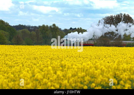 Dampfzug. Peterborough, UK. 17. April 2017. Eine britische Eisenbahnen Bulleid "Battle of Britain" pacific Lokomotive, Nr. 34081 "92 Geschwader" Klasse, bahnt sich ihren Weg vorbei an einem gelben Raps Feld nahe Peterborough, Cambridgeshire. Bildnachweis: Paul Marriott/Alamy Live-Nachrichten Stockfoto