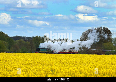 Dampfzug. Peterborough, UK. 17. April 2017. Eine britische Eisenbahnen Bulleid "Battle of Britain" pacific Lokomotive, Nr. 34081 "92 Geschwader" Klasse, bahnt sich ihren Weg vorbei an einem gelben Raps Feld nahe Peterborough, Cambridgeshire. Bildnachweis: Paul Marriott/Alamy Live-Nachrichten Stockfoto