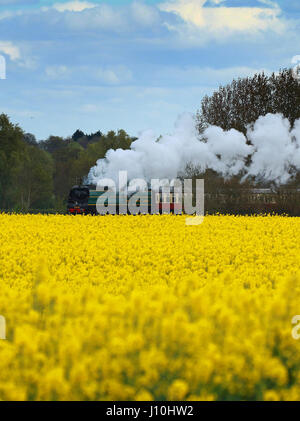 Dampfzug. Peterborough, UK. 17. April 2017. Eine britische Eisenbahnen Bulleid "Battle of Britain" pacific Lokomotive, Nr. 34081 "92 Geschwader" Klasse, bahnt sich ihren Weg vorbei an einem gelben Raps Feld nahe Peterborough, Cambridgeshire. Bildnachweis: Paul Marriott/Alamy Live-Nachrichten Stockfoto