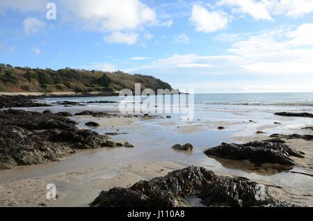 Küstenlandschaft, Falmouth Cornwall Stockfoto