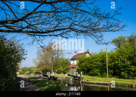 Grand Union Canal in Tring Gipfel & Reservoir, Hertfordshire, England, Großbritannien Stockfoto