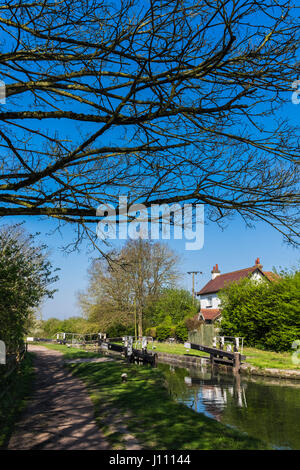 Grand Union Canal in Tring Gipfel & Reservoir, Hertfordshire, England, Großbritannien Stockfoto