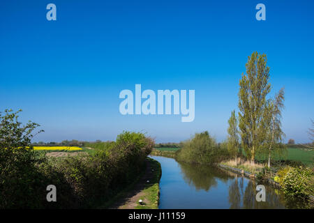 Grand Union Canal in Tring Gipfel & Reservoir, Hertfordshire, England, Großbritannien Stockfoto