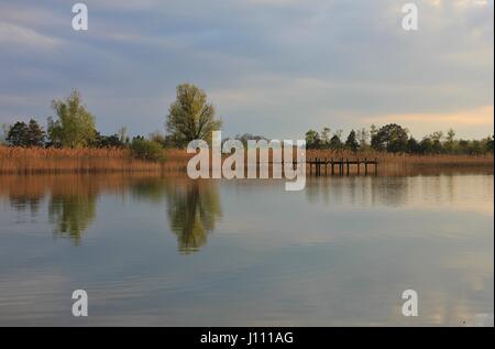 Ufer des See Pfäffikon an einem Frühlingstag. Stockfoto