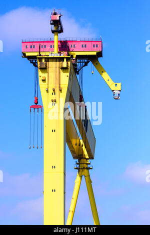 Goliath, einer der berühmten gelben Krane Belfasts Stockfoto