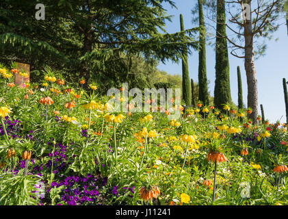 Die Meraner Gärten von Schloss Trauttmansdorff: Ein einzigartiges Projekt - die Gärten sind einer der renommiertesten botanischen Gärten Italiens - Meran-Italien. Stockfoto