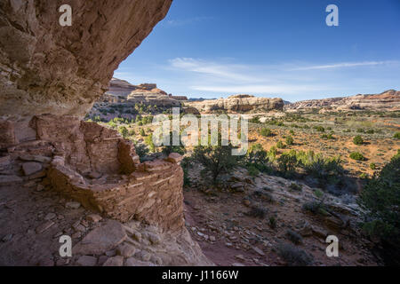 Native American Indian Ruin, Salt Creek, Nadeln Bezirk, Canyonlands National Park, Utah, USA. Stockfoto