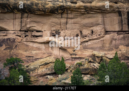 Native American Indian Ruin, Salt Creek, Nadeln Bezirk, Canyonlands National Park, Utah, USA. Stockfoto