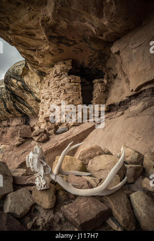 Geweih und indischen Ruine im Salt Creek, Canyonlands National Park, Utah. Stockfoto