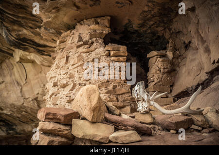 Native American Indian Ruin, Salt Creek, Nadeln Bezirk, Canyonlands National Park, Utah, USA. Stockfoto