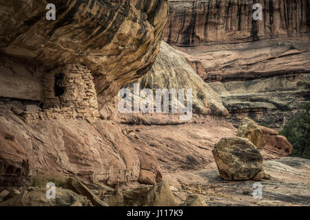 Native American Indian Ruin, Salt Creek, Nadeln Bezirk, Canyonlands National Park, Utah, USA. Stockfoto