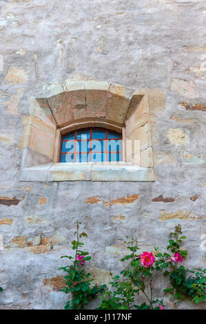 Stein Wand und Fenster, blühenden Gärten, Rosen, Hof Carmel Mission, Carmel by Sea, Kalifornien, USA. Stockfoto