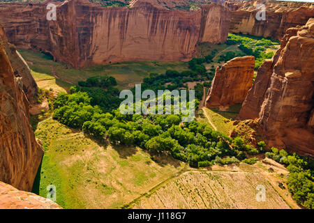 Blick auf Canyon De Chelly vom Südrand, Arizona, USA Stockfoto