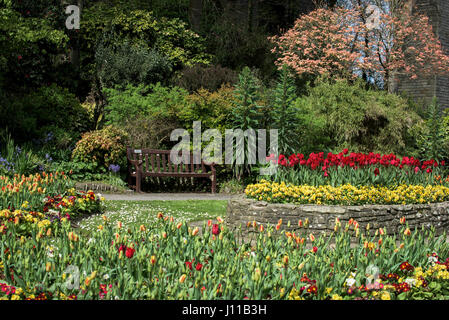 Trenance Park Newquay Blumen Blüten ziemlich bunt bunte Sitzbank Touristenattraktion Parklandschaft gepflegten Cornwall Stockfoto